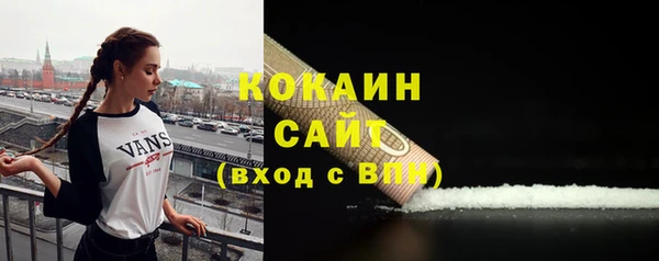кокс Белокуриха