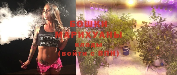 кокс Белокуриха